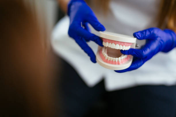 Best Dental Fillings (Composite and Amalgam)  in East Bronson, FL