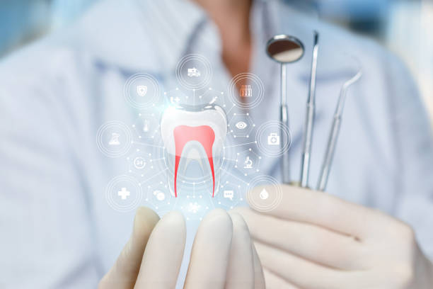 Best Root Canal Treatment  in East Bronson, FL