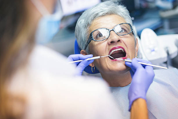 Best Preventive Dentistry  in East Bronson, FL